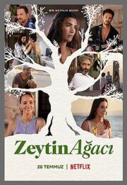 Zeytin Ağacı 1.Sezon Full İzle